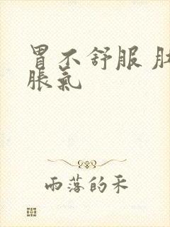 胃不舒服 肚子胀气