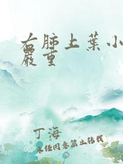 右肺上叶小结节严重