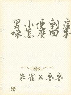 男小便刺痛有异味怎么回事