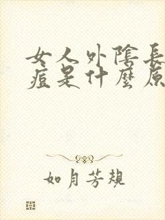 女人外阴长小痘痘是什么原因