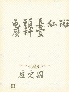 龟头长红斑挂什么科室