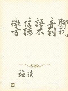 微信语音聊天对方听不到我的声音