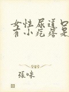 女性尿道口里面有小疙瘩是什么状况