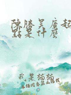 陈胜吴广起义特点是什么