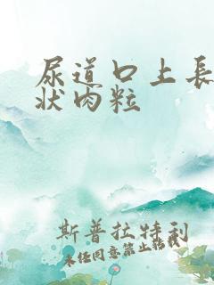 尿道口上长菜花状肉粒