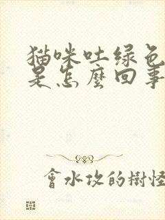 猫咪吐绿色液体是怎么回事