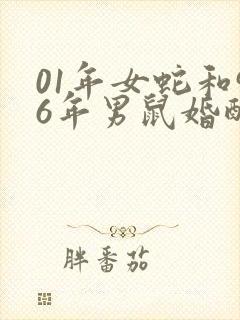 01年女蛇和96年男鼠婚配如何