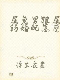 属兔男跟属马女的婚配怎么样