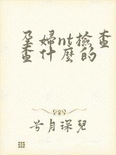 孕妇nt检查是查什么的