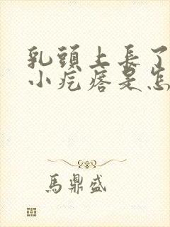 乳头上长了一个小疙瘩是怎么回事