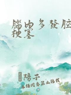 脑内多发腔隙性梗塞