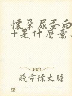 怀孕尿蛋白质2+是什么意思