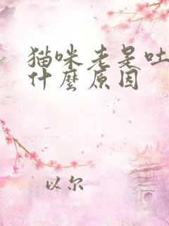 猫咪老是吐水是什么原因