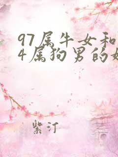 97属牛女和94属狗男的婚姻