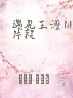 遇见王沥川删减片段