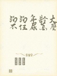 狗狗年龄大了憋不住尿怎么办