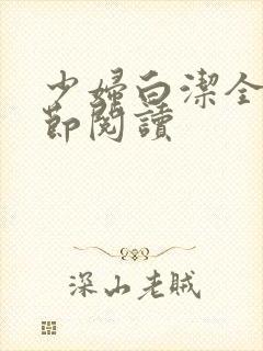 少妇白洁全文章节阅读