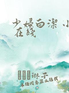 少妇白洁 小说 在线