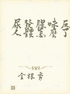 尿发腥味反映出人体怎么了