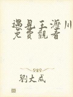 遇见王沥川续集免费观看