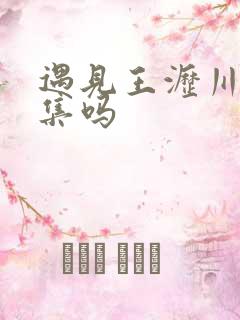 遇见王沥川有续集吗