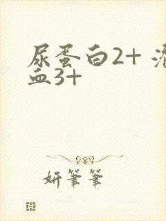 尿蛋白2+ 潜血3+