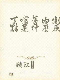 下嘴唇内侧有黑点是什么原因引起的