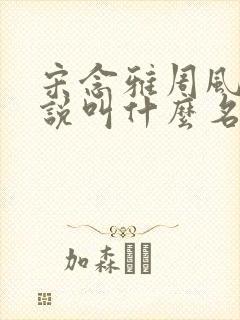 宋念雅周风澈小说叫什么名字