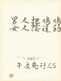 男人把鸡鸡插入女人阴道的视频