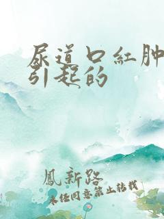 尿道口红肿怎么引起的