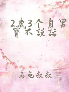 2岁3个月男宝宝不说话