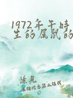 1972年午时生的属鼠的命运怎么样
