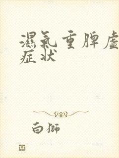 湿气重脾虚表现症状