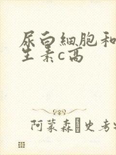 尿白细胞和尿维生素c高