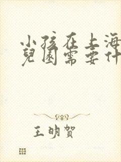 小孩在上海上幼儿园需要什么条件