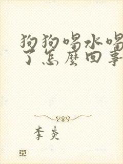 狗狗喝水喝到吐了怎么回事