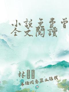 小说免费曾少年全文阅读