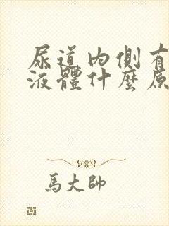 尿道内侧有黄色液体什么原因