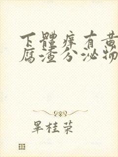 下体痒有黄色豆腐渣分泌物是什么原因