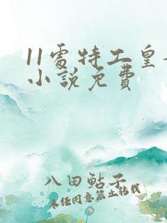 11处特工皇妃小说免费