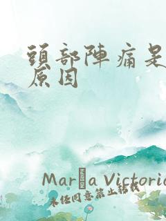 头部阵痛是什么原因