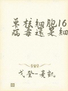 单核细胞16是病毒还是细菌