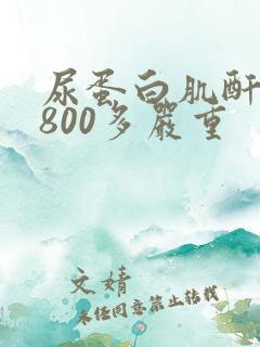 尿蛋白肌酐比值800多严重