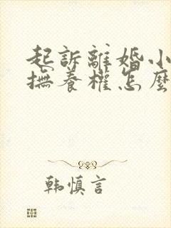 起诉离婚小孩的抚养权怎么判