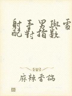 射手男与处女女配对指数