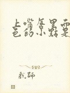 上嘴唇里面有白色的小点是什么原因