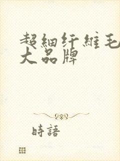 超细纤维毛巾十大品牌