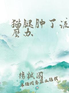 猫腿肿了流脓怎么办