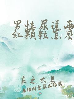 男性尿道两边是红颗粒怎么回事