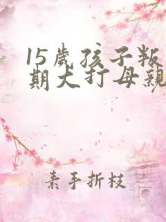 15岁孩子叛逆期大打母亲